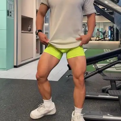 杨致语